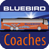 Bluebird website